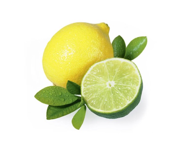 Sauna-Duftkonzentrat Citrus Limone 1 L